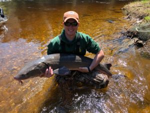 Adam LeClerc - TapTalk